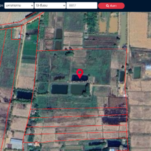 ที่ดินเปล่า 26 ไร่ 3 งาน 51.0 ตรว.
