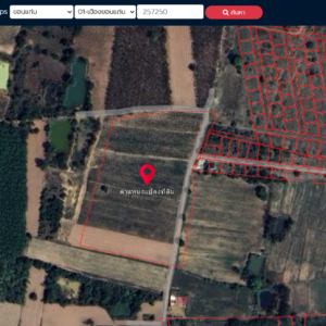ที่ดินเปล่า 21 ไร่ 1 งาน 82.4 ตารางวา