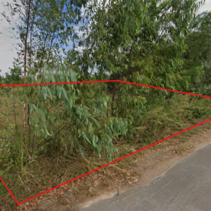 ที่ดินเปล่า 2 งาน