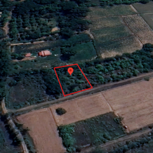 ขายที่ดินเปล่า 1 งาน 33 ตารางวา