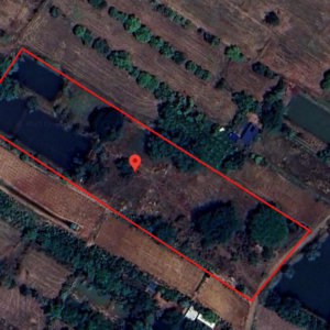 ขายที่ดินเปล่า  6 ไร่ 2 งาน 80.0 ตารางวา