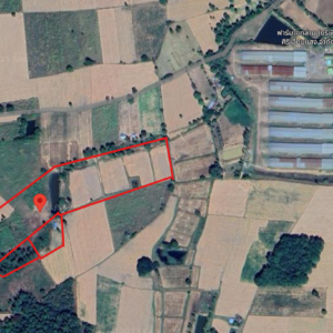 ที่ดินเปล่า 35 ไร่  93  ตารางวา(ขายยกแปลงโฉนด 3 ใบ)