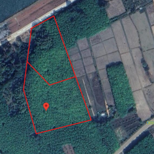 ที่ดินเปล่า 12 ไร่ 1 งาน 33 ตารางวา (ขายยกแปลงโฉนด 2 ใบ)