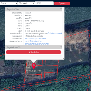 ที่ดินเปล่า 3 งาน