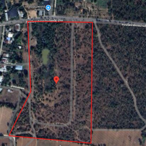 ขายที่ดินเปล่า 47 ไร่ 2 งาน 71.0 ตารางวา